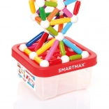 SmartMax - Container - 100 buc