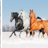 Pictură cu diamante Trei cai 30x40cm