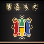 Etui mare HARRY POTTER