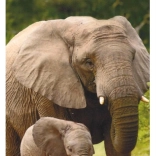 Set de creioane de colorat 18 buc Koh-i-noor