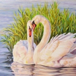 Pictură cu diamante – lebede în stuf 30 × 40 cm