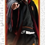 Puzzle HARRY POTTER – Ron, 300 piese