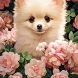 Puzzle cățeluș Pomeranian în trandafiri 60 de piese