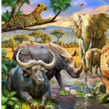 Norimpex Pictură cu diamante Regatul animalelor 30x40cm