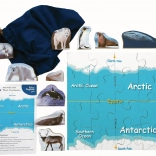 Just Jigsaws regiunile polare și animalele lor – puzzle din lemn, 16 piese și 10 animale