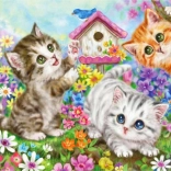 Pictură cu diamante Echipa de pisici 30x40 cm