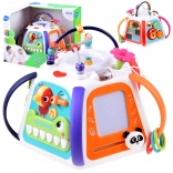 Cub educațional interactiv HOLA