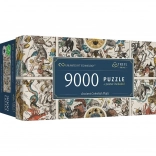 Puzzle 9000 buc Hărți Celeste Antice