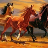 Mozaic cu diamante – trei cai