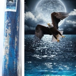 Pictură cu diamante Vânătorul nopții 80 × 40 cm