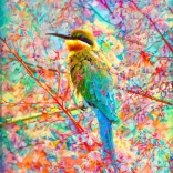 Puzzle Păsărică fericită 1000 de piese