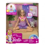 Păpușă Barbie Wellness de meditație cu sunete