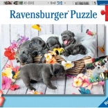 Puzzle Ravensburger Cățeluși adorabili 2×12 piese