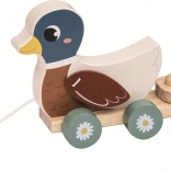 jucărie din lemn de tras familia de rațe