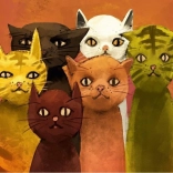 Puzzle Echipa de pisici 500 piese