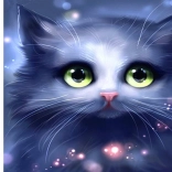 Pictură cu diamante, pisoiaș gri 30 × 40 cm