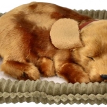 Cățeluș de pluș care respiră pentru adopție