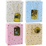 Sacoșă cadou pentru elevi și profesori 23 x 18 x 10,5 cm