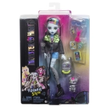 Păpușă Monster High Frankie Stein cu accesorii