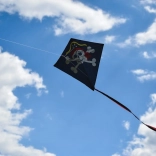 Zmeu pirat zburător 65 × 65 cm