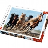 Puzzle 1000 piese Cai în galop
