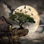 Puzzle ENJOY cabană pe stâncă, 1000 piese