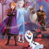 Puzzle maxi 60 piese Frozen 2