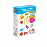 Hra šcolou - Fructe și Legume