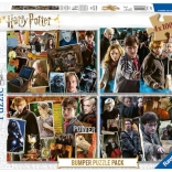 Puzzle 4x100 piese Harry Potter