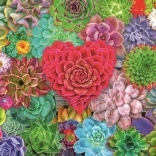 Puzzle Paradisul Suculentelor 500 piese