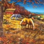 Puzzle COBBLE HILL Întâlnire pe pantă 2000 piese