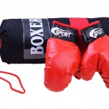 set de box cu mănuși și sac de box