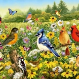 Puzzle Ravensburger Poiana păsărilor 500 piese