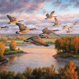 Puzzle Migrație COBBLE HILL 1000 piese