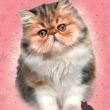 Puzzle Pisica persană 100 de piese