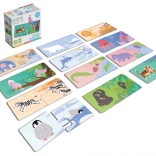 Véééliké puzzle duo: unde locuiesc animalele