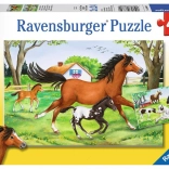 RAVENSBURGER puzzle lumea cailor 2×24 piese