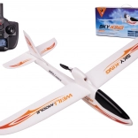 WLtoys Sky King F959S avion RC 2,4GHz
