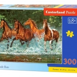 Puzzle 300 piese Cascade Run