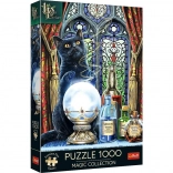 Trefl Puzzle Premium Plus Magic Collection: Ucenicul vrăjitor 1000 piese