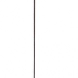 Ciocănitoare din lemn cu pui