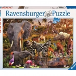 Puzzle Ravensburger Animale din Africa 3000 piese