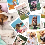 Puzzle 300 piese - Poze de vacanță