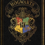 Bloc A5 Harry Potter colorat negru