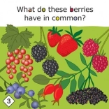 Yummy! joc educativ despre alimentația sănătoasă pentru copii de la 3 ani