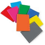 Caiet școlar A5 dictando 8 mm PIGNA Monocromo