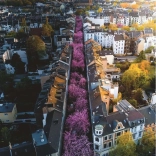 Puzzle Ravensburger 1500 piese Bonn, Germania