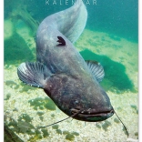 Calendar de perete Pescuit 2026