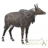 Figurină Nilgai COLLECTA