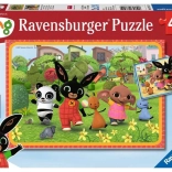 Puzzle Bing 2x24 piese